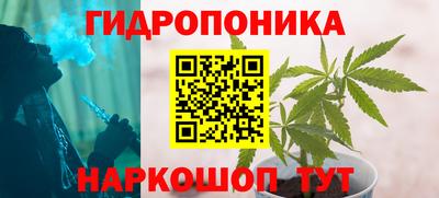 PSILOCYBIN Пенза