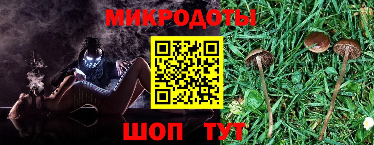 Скопин  Галлюциногенные грибы Psilocybe  Вход с VPN 